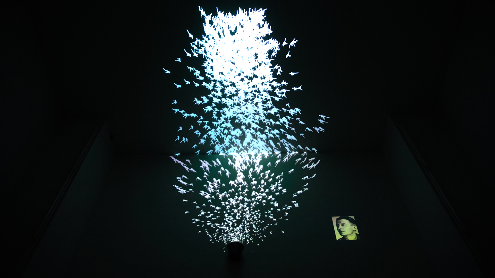 Datas Fall exposition Nadine mars 2025